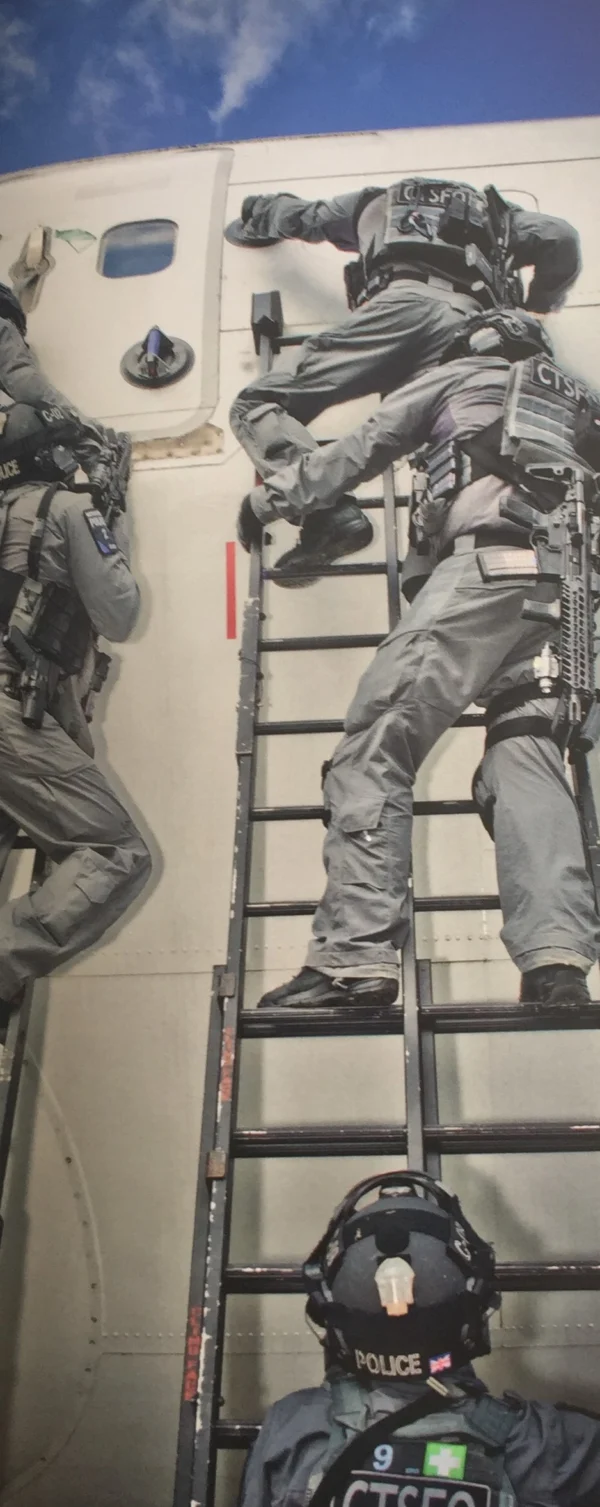 Police and Law Enforcement Ladder Entry